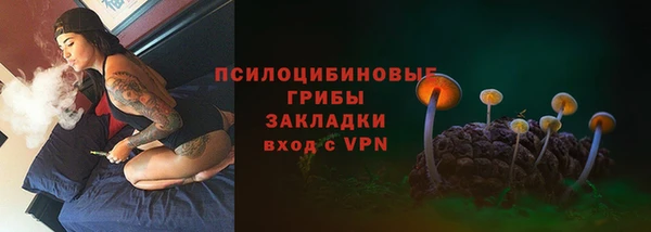 тгк Володарск