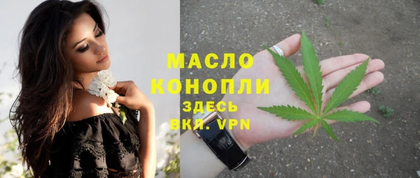 тгк Володарск