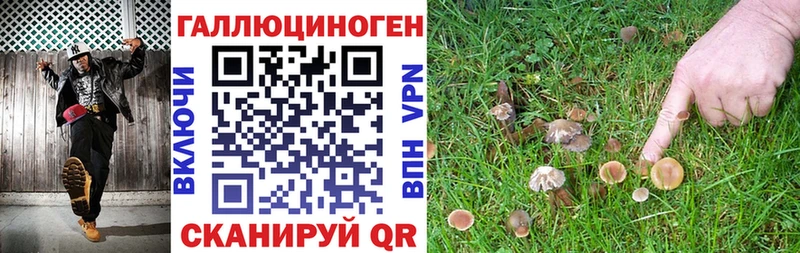 Галлюциногенные грибы GOLDEN TEACHER  где продают   Рубцовск 